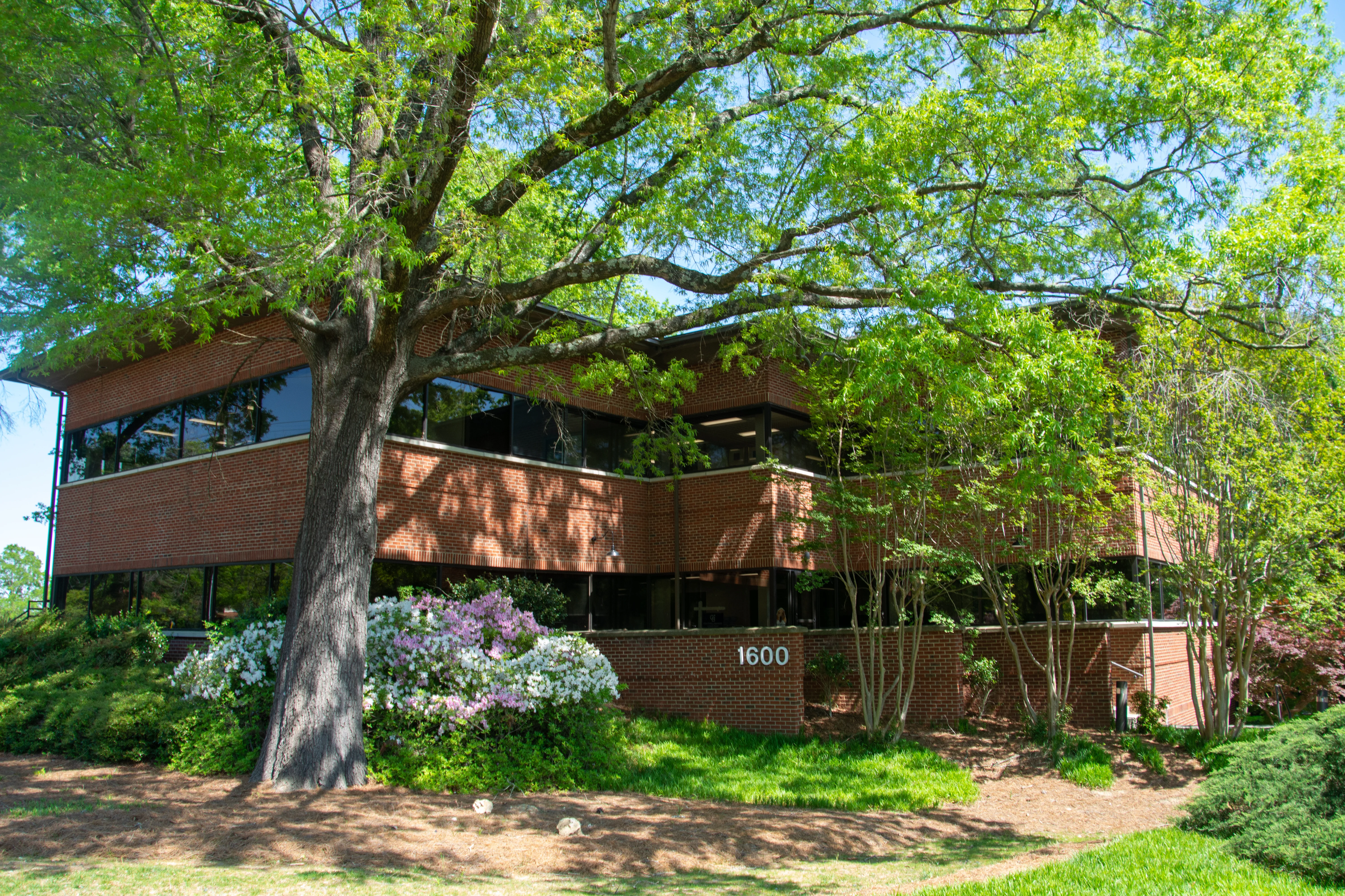 Triangle commercial property